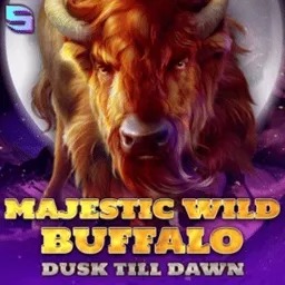 Majestic Wild Buffalo - Dusk Till Dawn